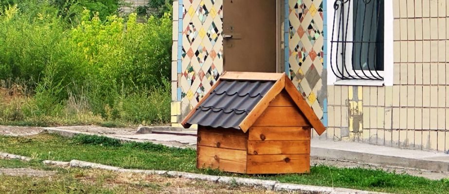У Дніпропетровській області чоловік підпалив цуценят у будці живцем