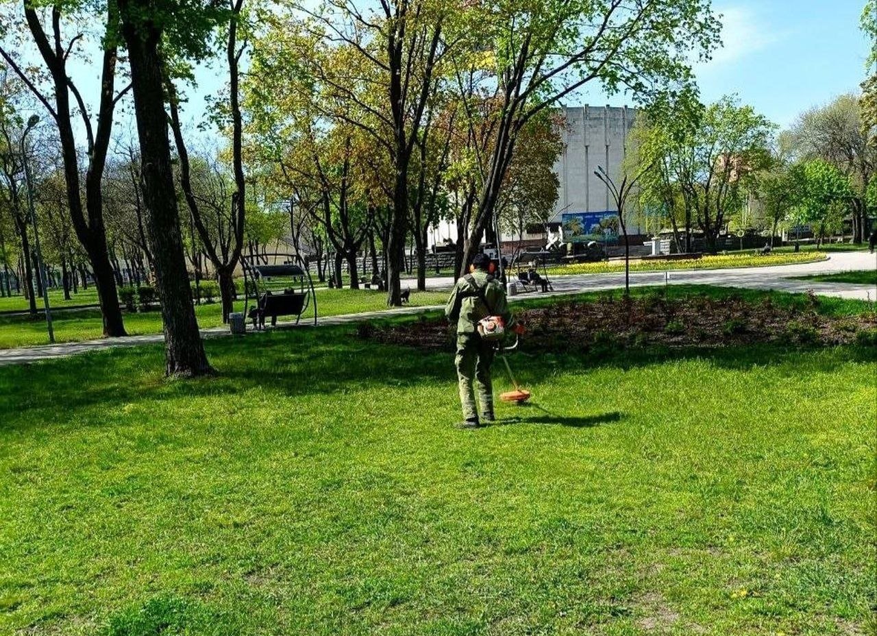 У Дніпрі на озеленення парків виділять 1 млн грн