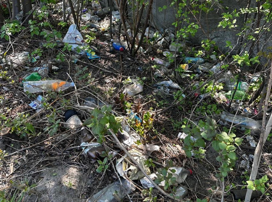 У Житомирі зафіксували засмічення узбіччя на Бульби‑Боровця: екологи звернулися до …