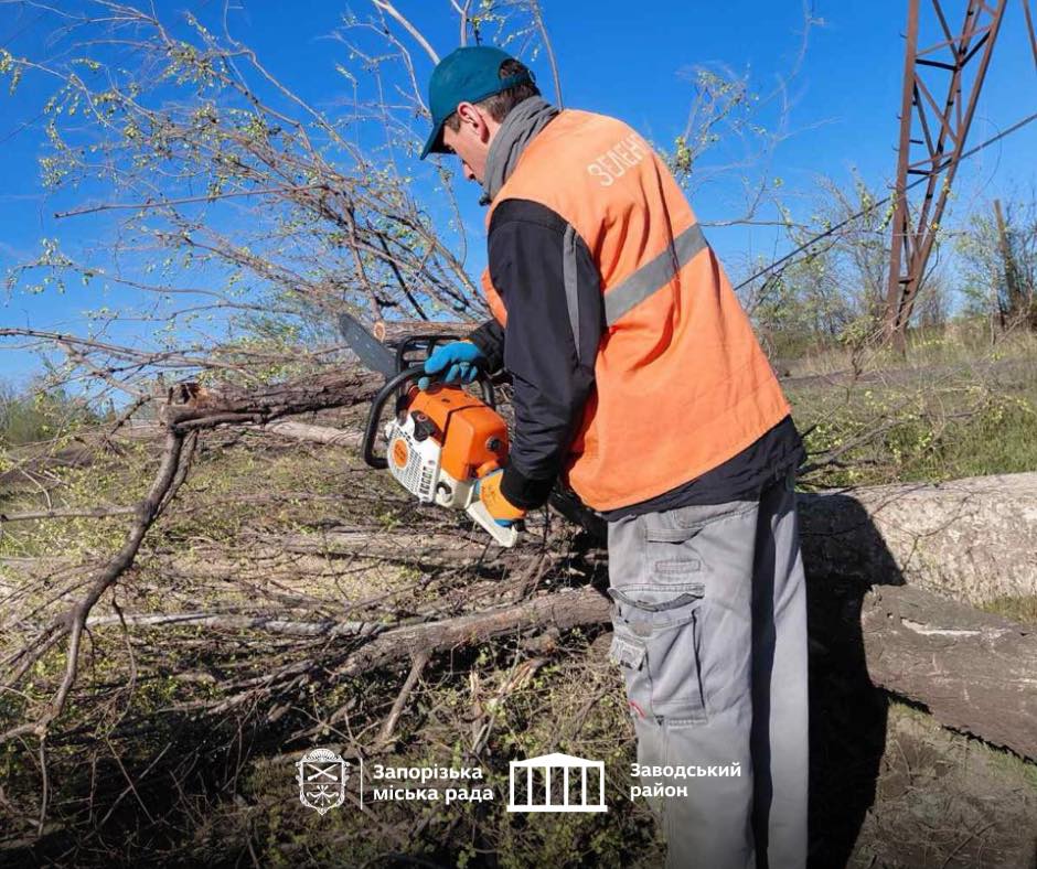 У Запоріжжі видалили аварійні дерева на двох вулицях Заводського району