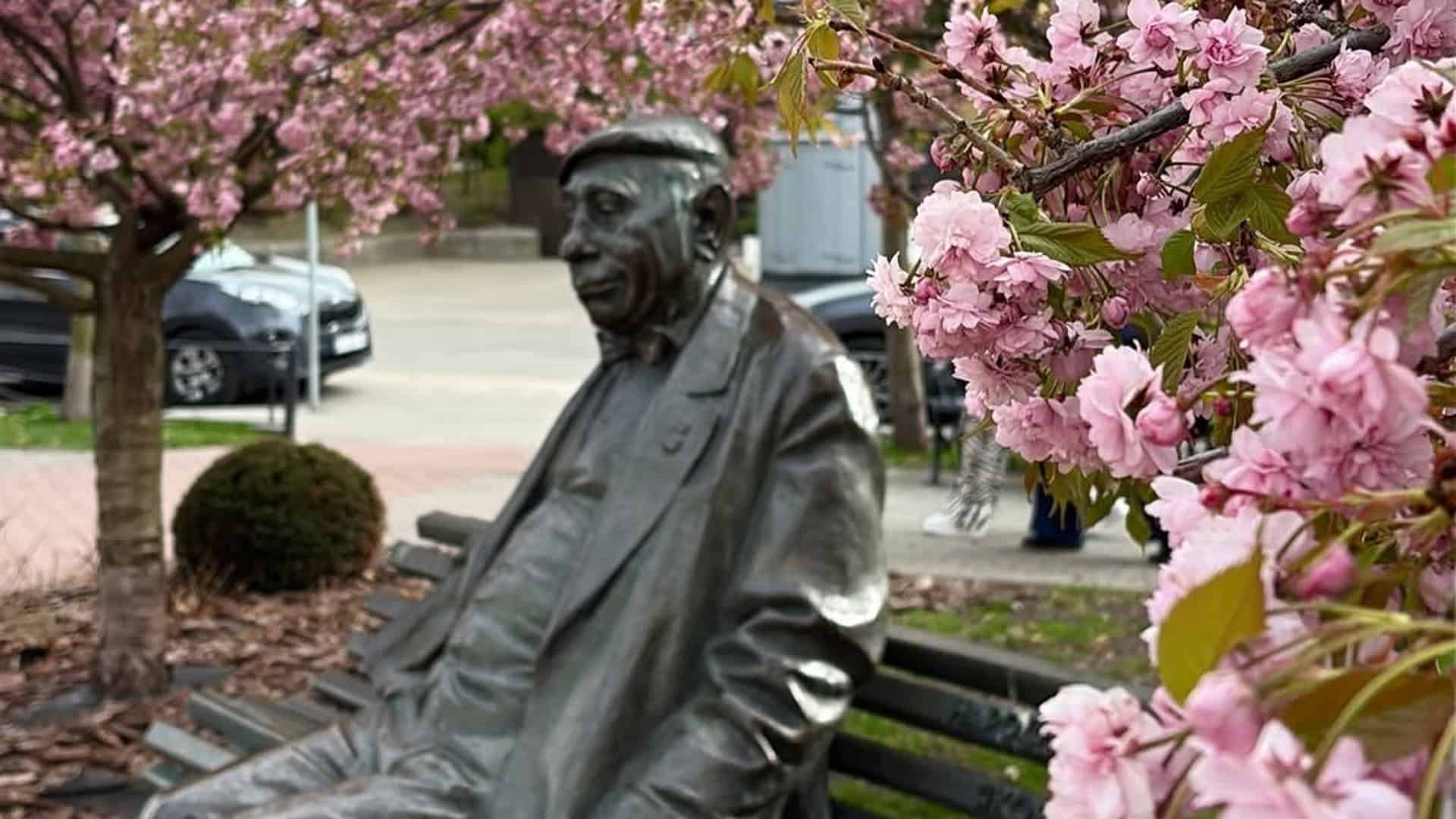 У КПІ розцвіли сакури: 3 локації для прогулянки