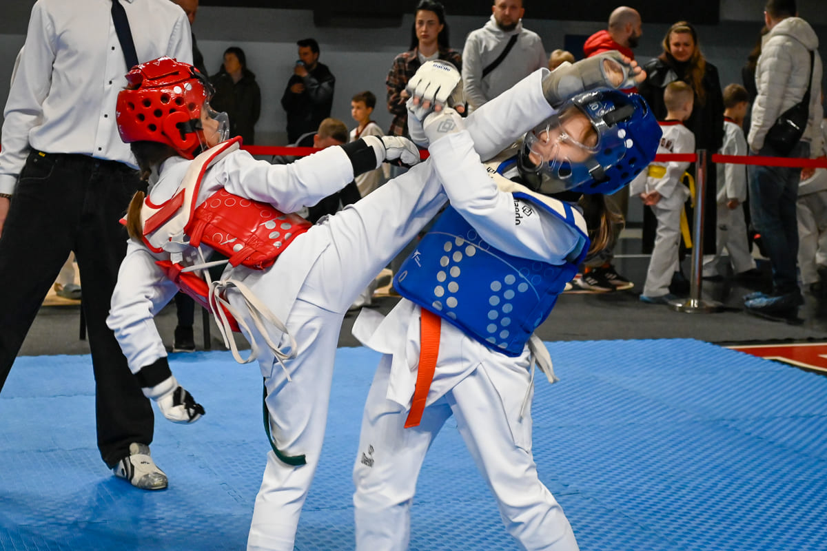 У Кам’янському відбувся традиційний чемпіонат міста з тхеквондо ВТФ “Прометей”