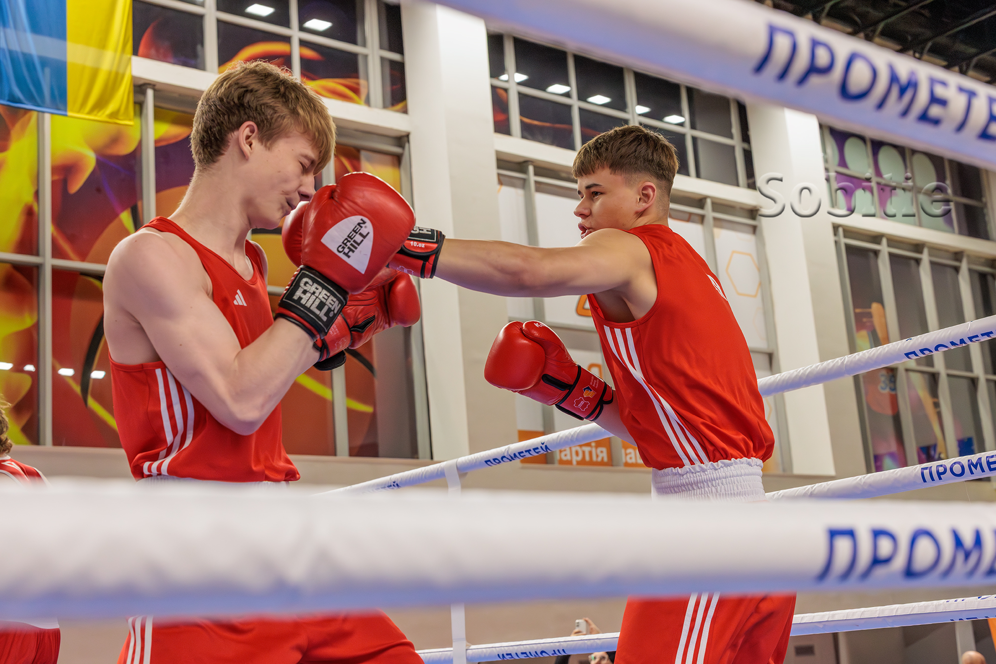 У Кам’янському відзначили переможців Відкритого міського чемпіонату з боксу