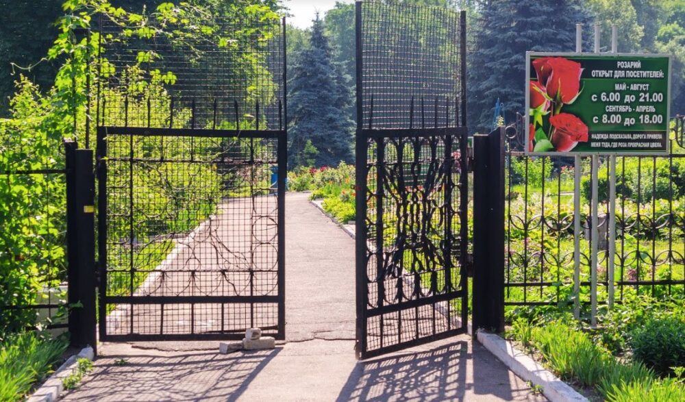 У Кам’янському зловмисники нищать розарій, який рік тому врятували від …