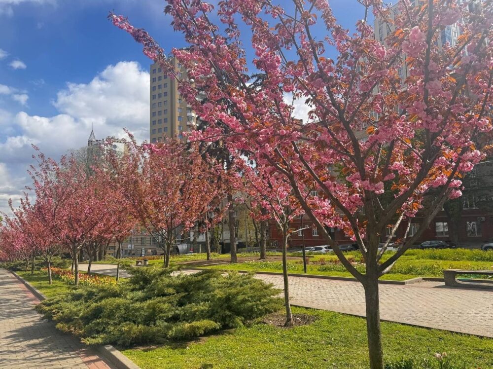 У Кам’янському знесуть гуртожитки