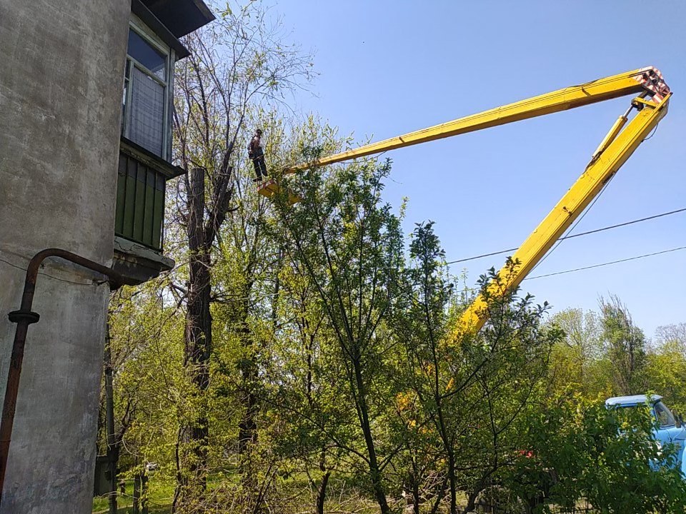У Кам’янському приводять до ладу зелені насадження