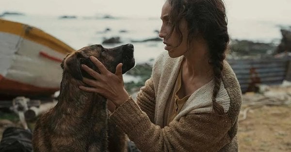 У Каннах вручили Palm Dog за найкращу собачу роль