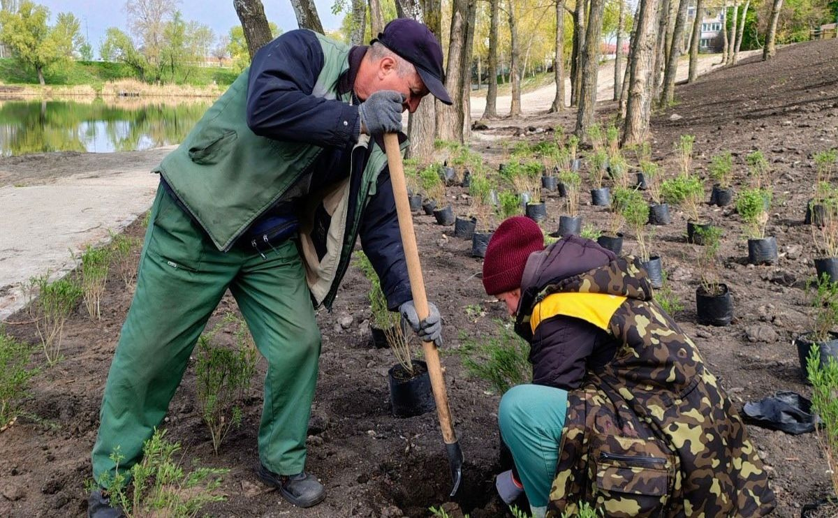 У Києві посадили більше 600 дерев у рамках проєкту «1 …