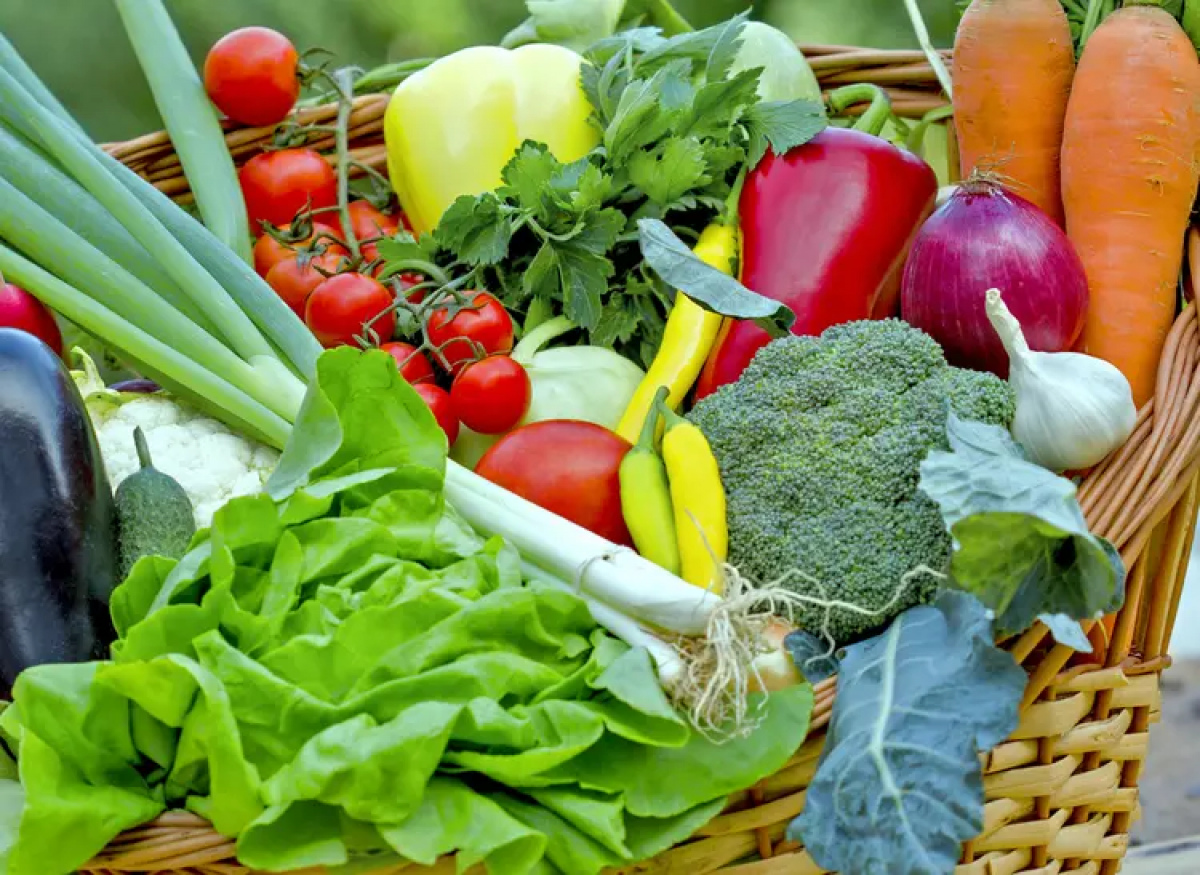 У Києві проходять продуктові ярмарки: де сьогодні можна купити фермерські …