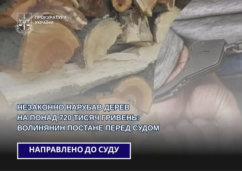 У Ковельському районі судитимуть селян за незаконну вирубку