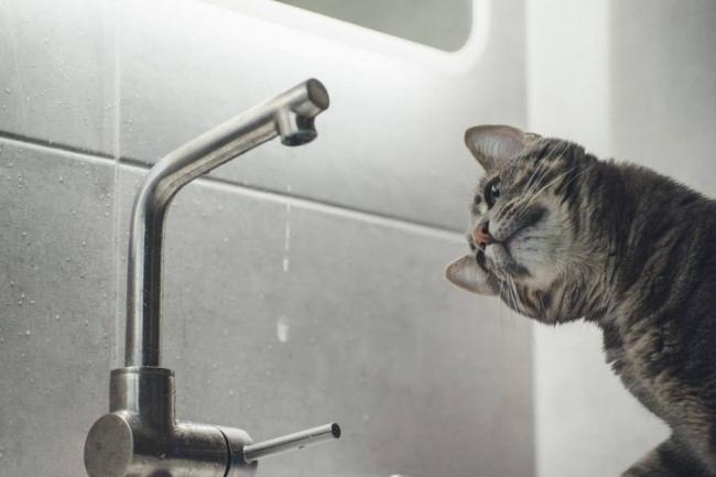 У Костополі на одній із вулиць завтра не буде води