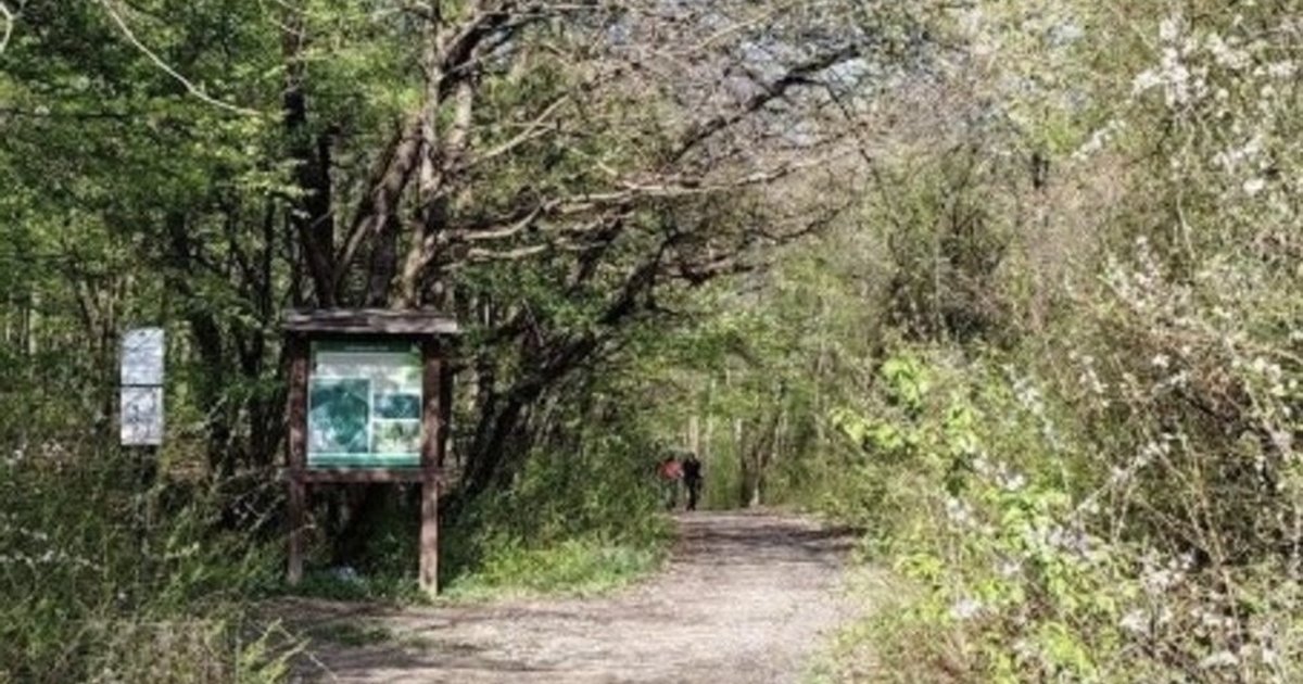 У Кошицях підлітки побили хлопця через українську мову