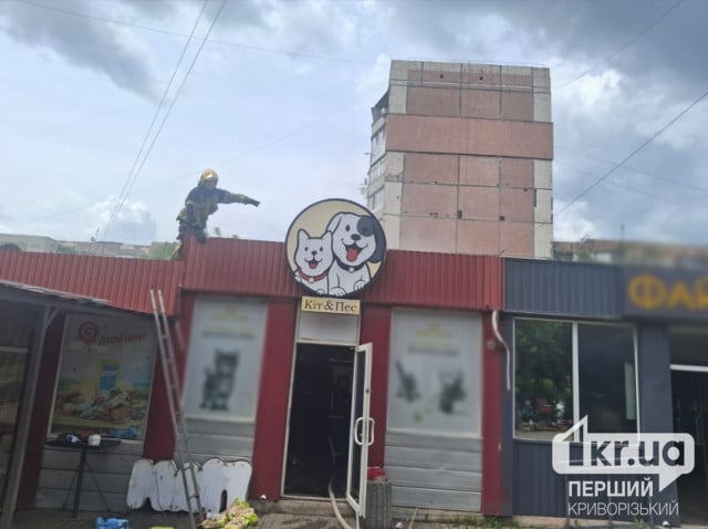 У Кривому Розі горів магазин зоотоварів: що відомо