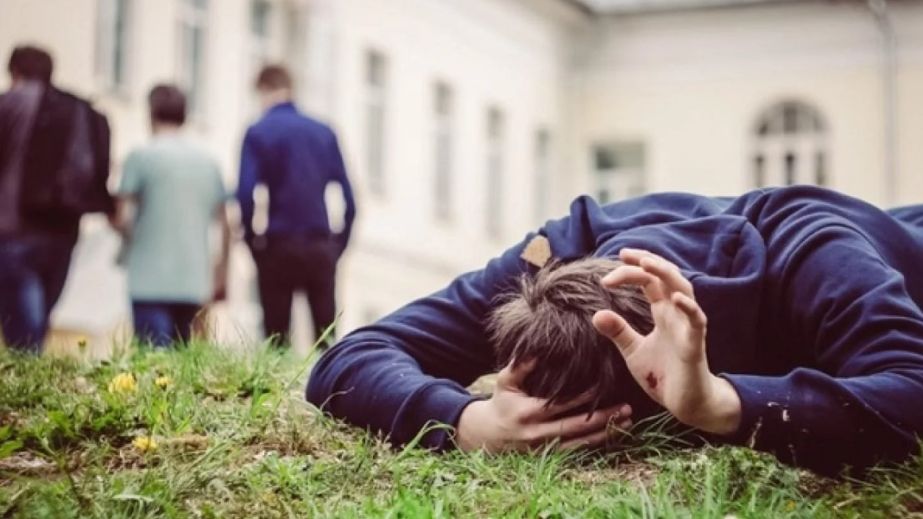 У Криничках компанія підлітків жорстоко побила двох братів та тероризує …