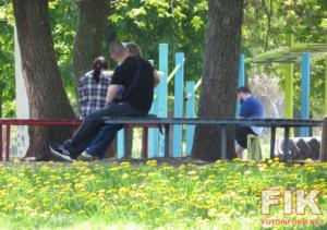 У Кропивницькому розквітли тисячі кульбаб