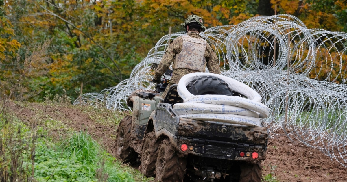 У Латвії впали два безпілотники, вони залетіли з боку Росії