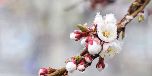 У Луцьку зафіксували аномальний рекорд температур