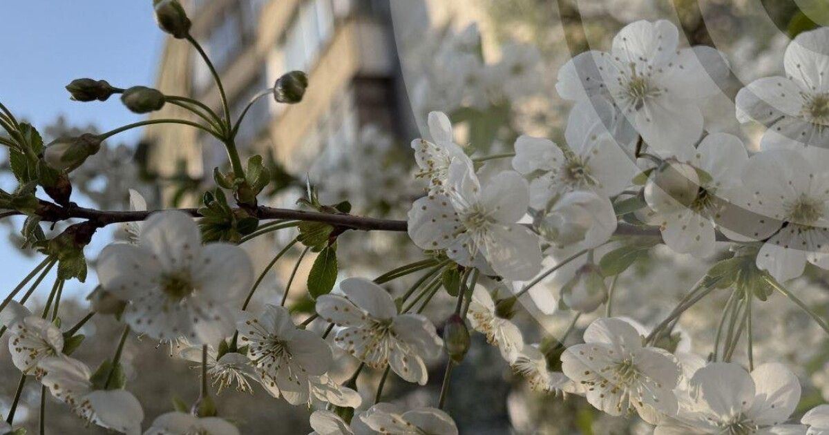 У Луцьку зафіксували найхолоднішу ніч за останні 64 роки