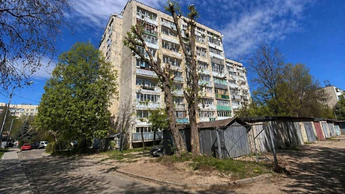 У Львові відзвітували про обрізку дерева ШІ-зображенням: у міськраді пояснили