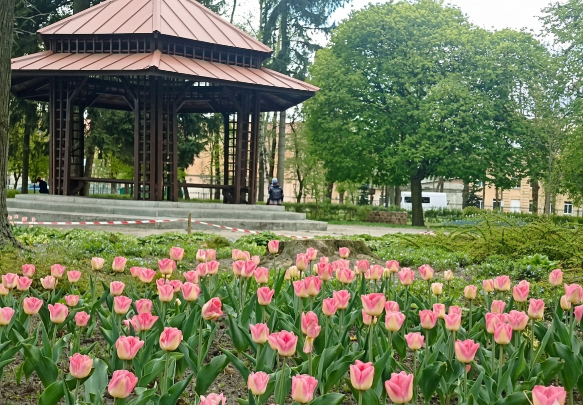 У Львові розквітли нові тюльпанові клумби: де шукати яскраву весняну …