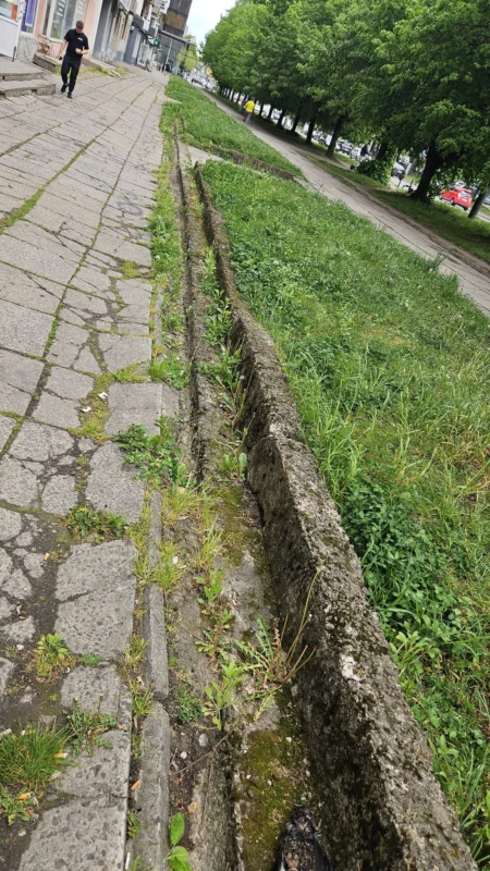 У Львові у спальному районі розвалюється тротуар (ФОТО)