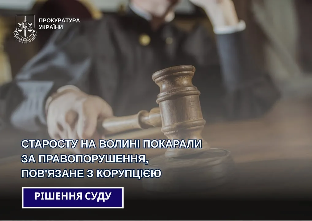 У Маневичах суд покарав старосту за правопорушення