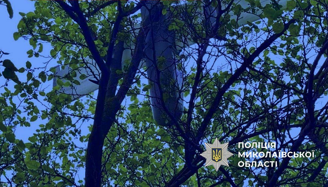 У Миколаєві «Шахед» із бойовою частиною застряг на дереві (фото)