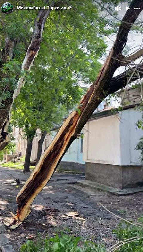У Миколаєві велика гілка дерева впала на дах житлового будинку …