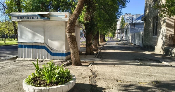 У Миколаєві демонтують ще 7 кіосків та літні майданчики