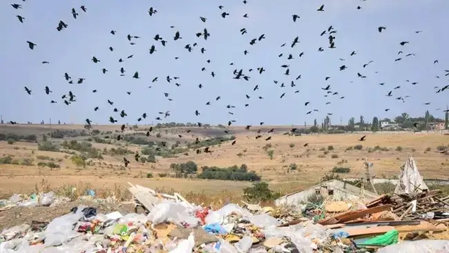 У Миколаєві з’явиться сміттєсортувальний комплекс