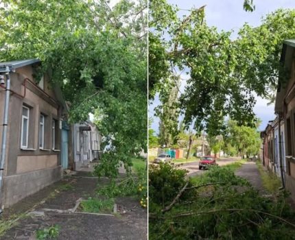 У Миколаєві мешканець повідомив про падіння гілки на дах будинку …