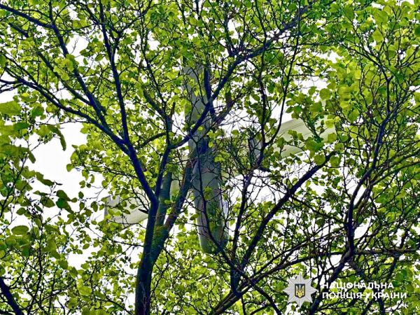 У Миколаєві прямо на дереві підірвали застряглий ворожий безпілотник