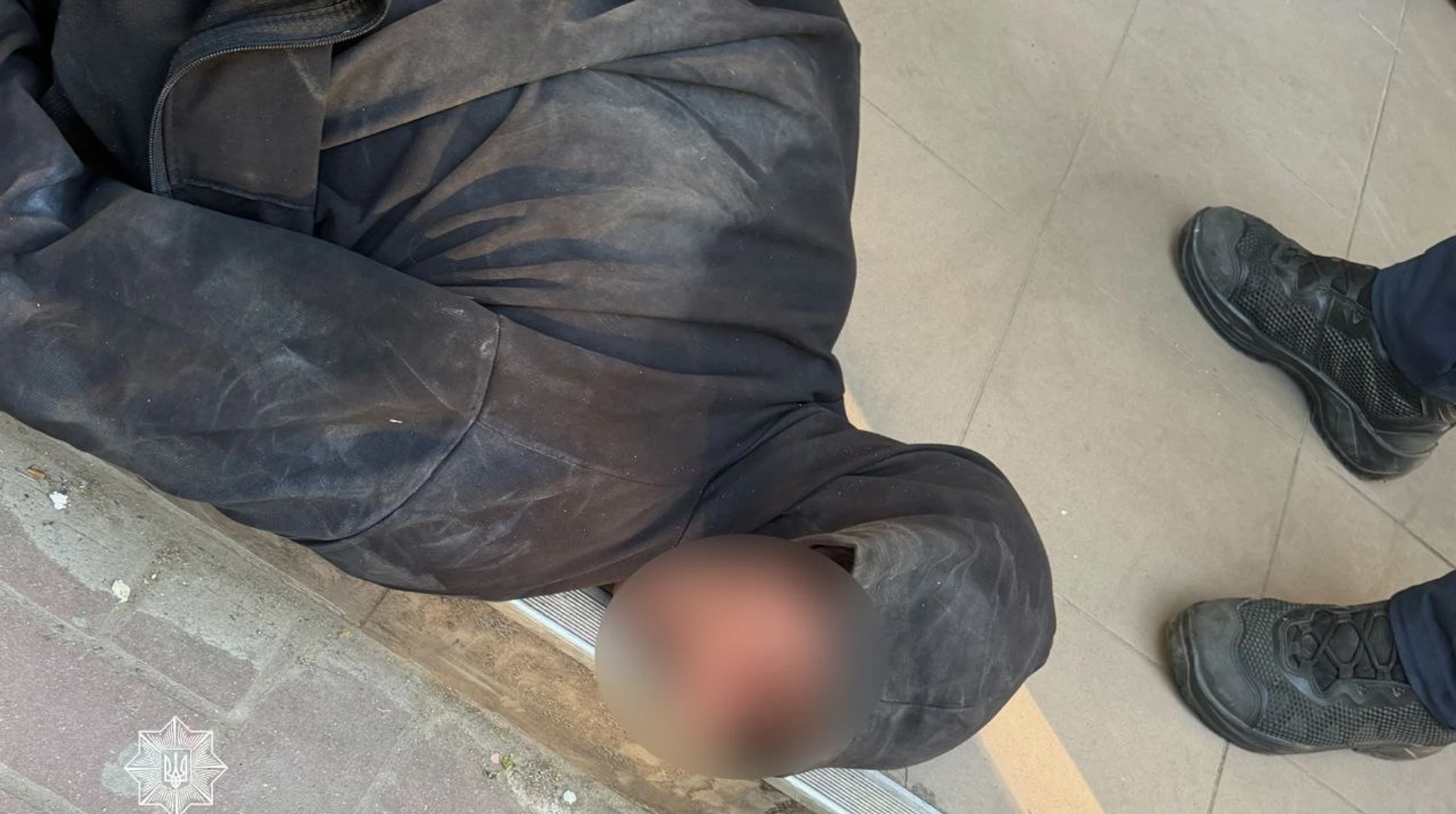 У Миколаєві п’яний чоловік жорстоко вбив безпритульного собаку