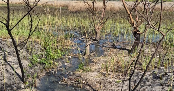 У Миколаєві шукають власників врізок, через яких тече каналізація в …