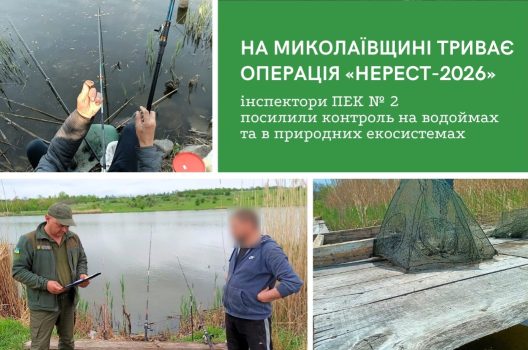 У Миколаївській області посилено полювання на браконьєрів