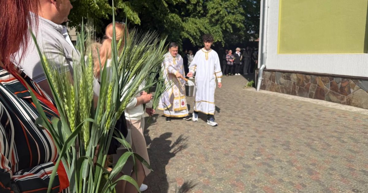 У Мукачеві освятили молоді колоски пшениці (ФОТО)