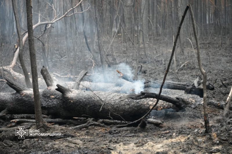 У Поліському заповіднику горить 300 га: рятувальники зупинили поширення вогню