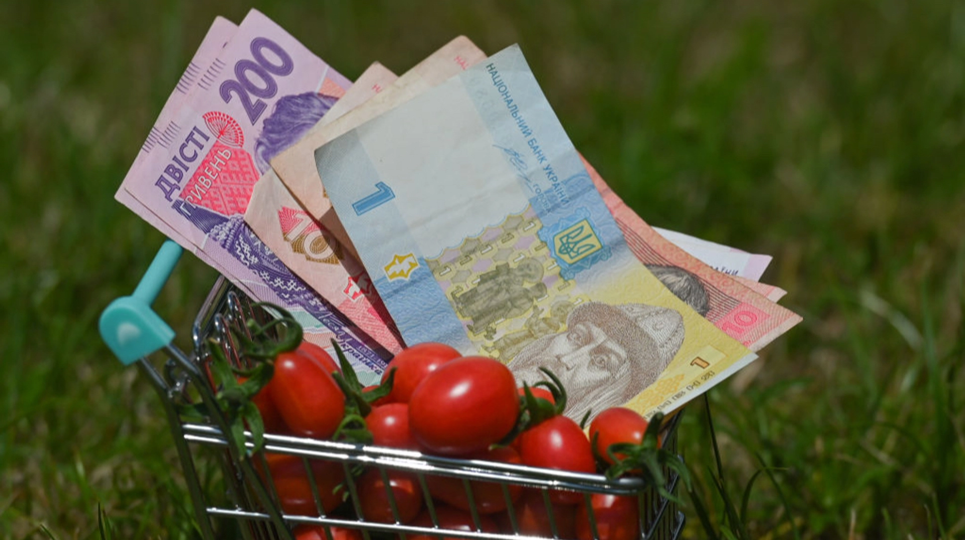 У Раді пропонують підвищити прожитковий мінімум до 10 тис. грн