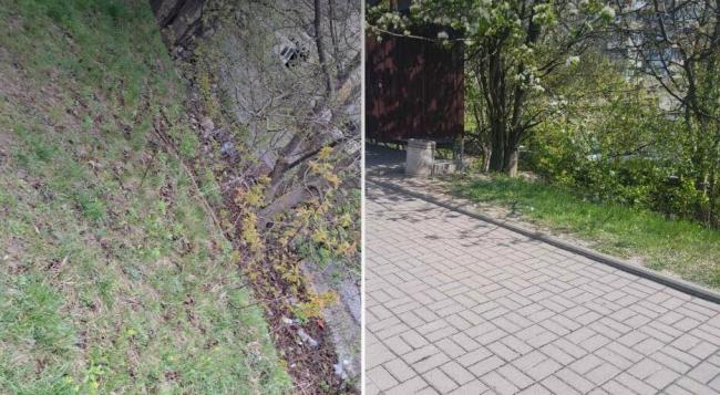 У Рівному після скарги прибрали територію біля зупинку