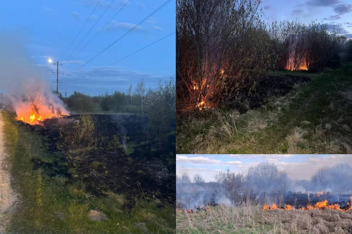 У Сарнах спільними зусиллями загасили пожежу сухої трави