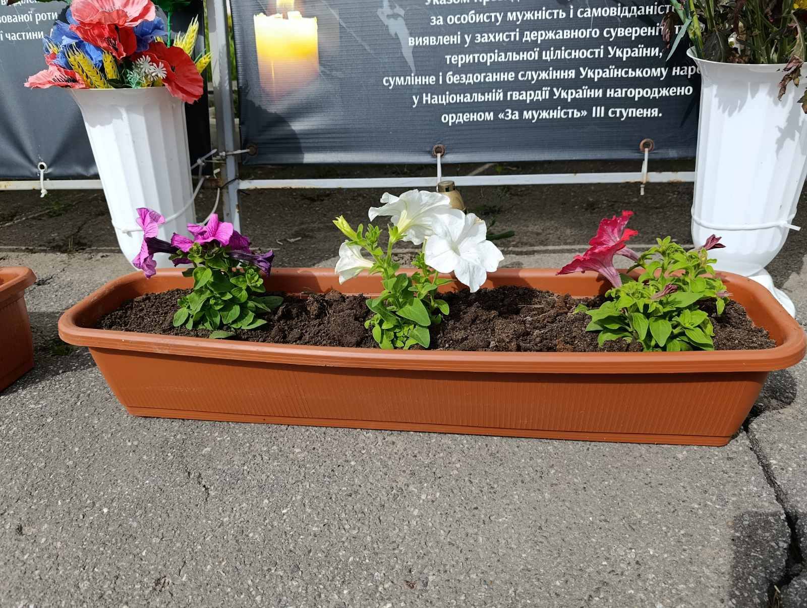 У Станіславчику біля Алеї Слави висадили квіти на честь полеглих …