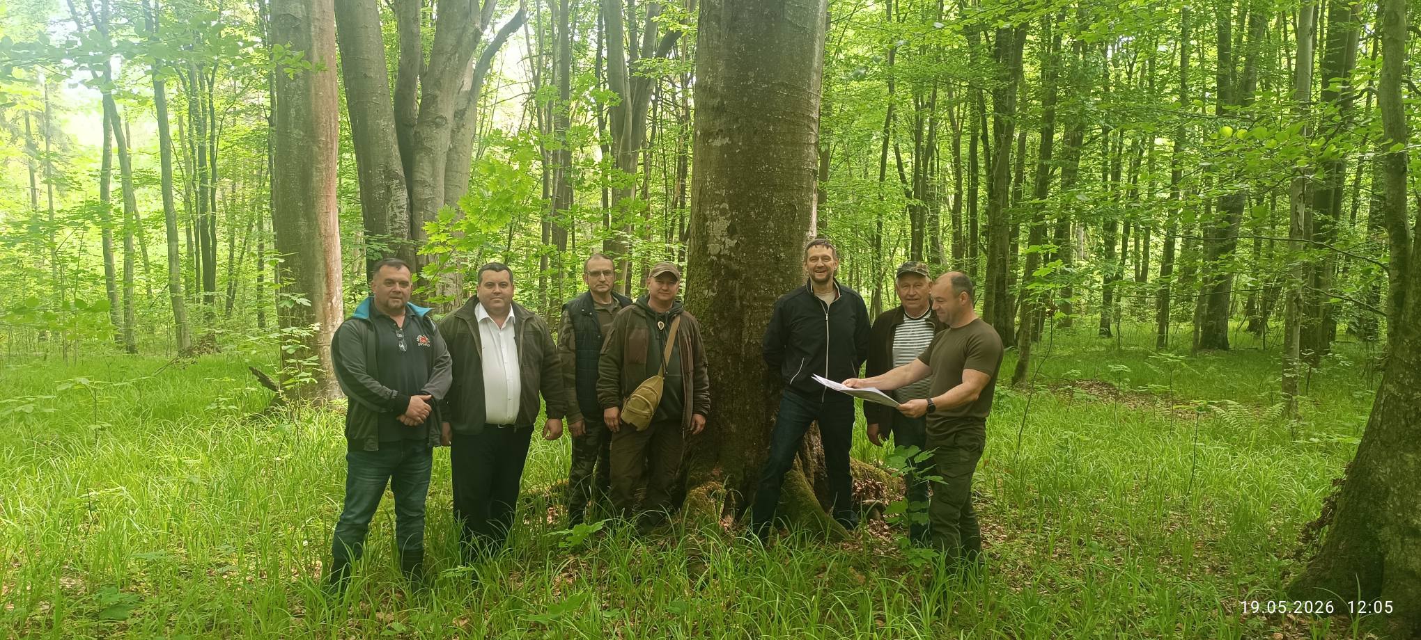 У Стрийському районі Львівщини створюють нову субпопуляцію європейських зубрів