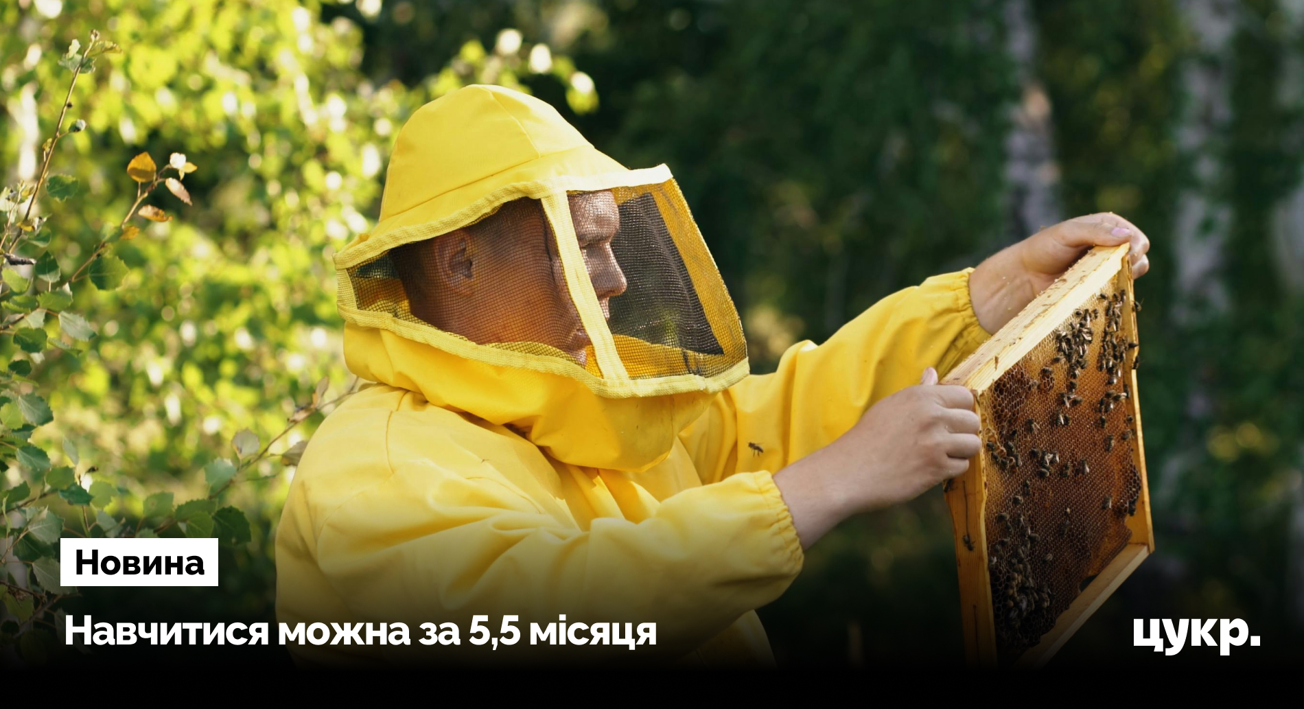 У Сумах відкрили безплатне навчання на бджоляра для безробітних, ветеранів …
