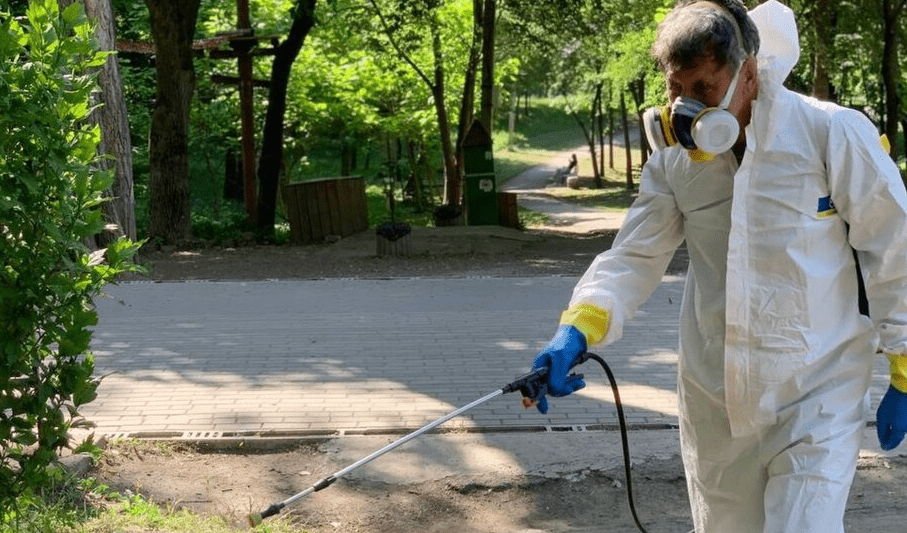 У Тернополі проведуть обробку парків від кліщів: уже є графік …