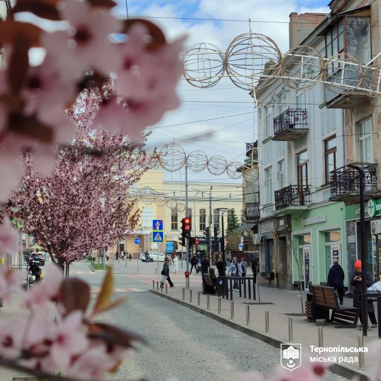 У Тернополі підтримали електронну петицію щодо розробки дизайн-коду міста