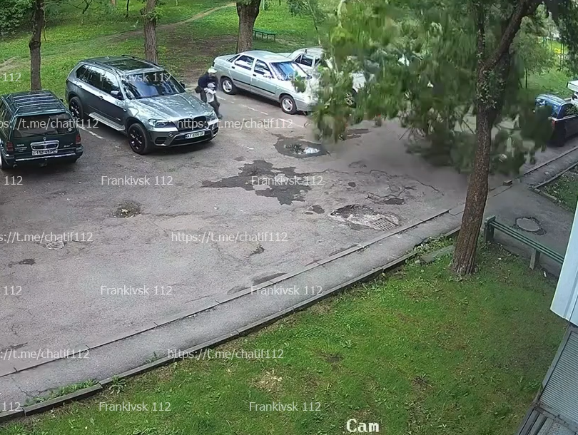 У Франківську дерево впало на дитину (ВІДЕО)