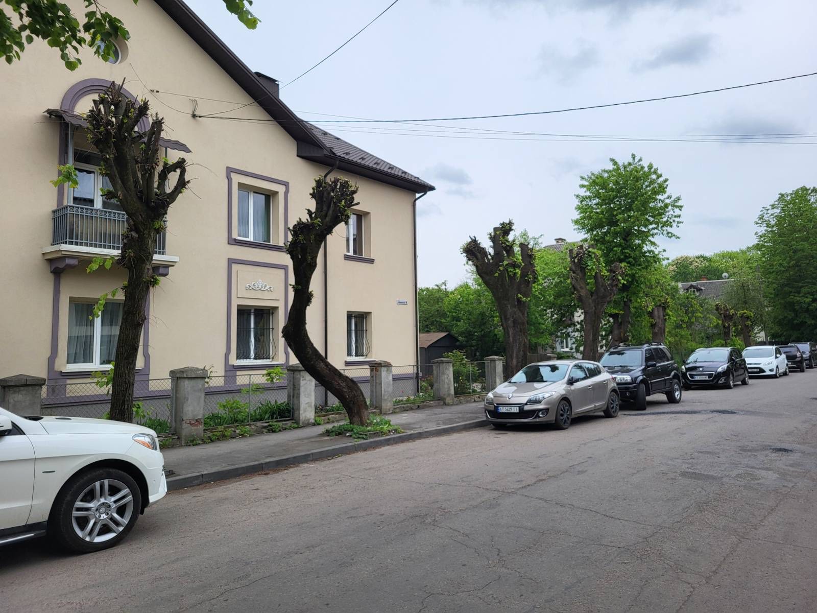 У Франківську невідомі покалічили 11 лип: мерія звернулася до поліції