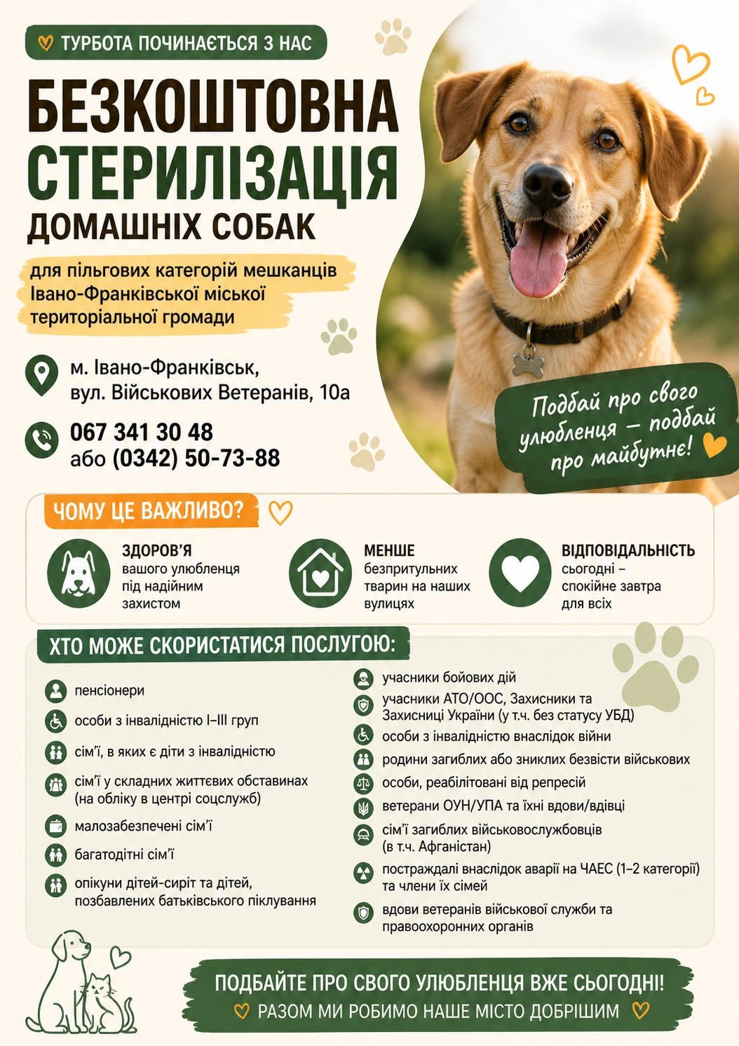 У Франківській громаді пільговики можуть безкоштовно стерилізувати собак