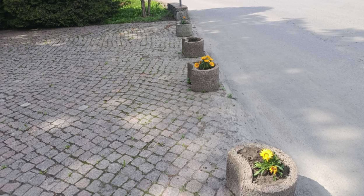 У Христинівці викрали нещодавно висаджені квіти біля скверу