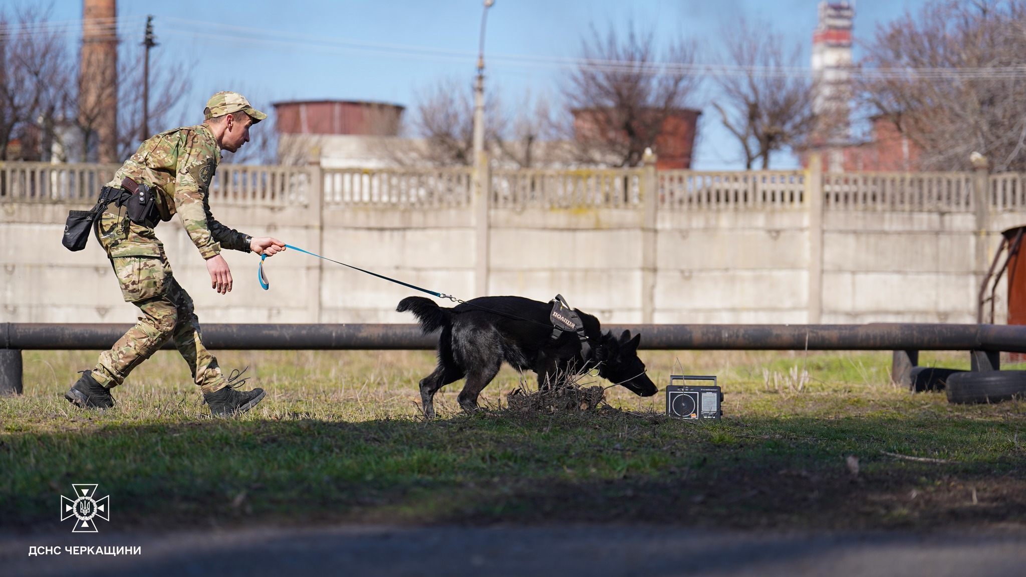 У Черкасах тренувалися службові собаки - шукали людей і вибухівку …